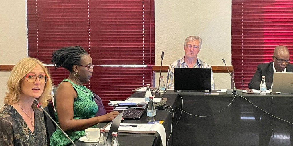 OBREAL_'s tweet photo. 🌍 The HAQAA3 Initiative Implementing Team (OBREAL, @AAU_67, @DAAD_Germany and @ENQAtwt with the support of @SARUAonline, are holding a Regional Focus Group on #HigherEducation Data Collection Capacity in the SADC Region 

📸 Check out these photos from the hybrid event ⬇️ https://t.co/25MpElz1Id