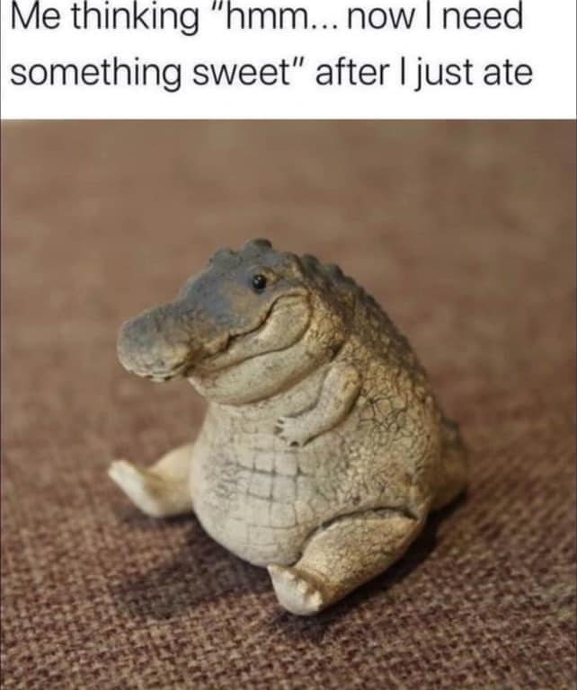 WholesomeMeme's tweet photo. https://t.co/7XwhWaa1UT