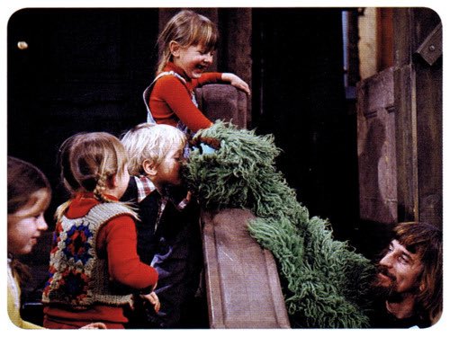 sesameposting's tweet photo. Grouchy but full of love. https://t.co/EfC2xWQTAd