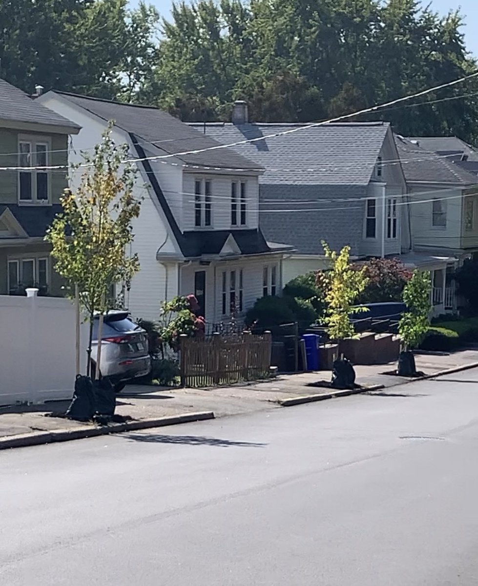 Let’s plant a tree and then some! 23 new shade trees planted today on Salem Street between Kennedy Drive and Beach Street thanks to <a href="/RknoxJr/">Robert P. Knox Jr.</a>, <a href="/MaldenTrees/">Christopher Rosa</a>, and <a href="/jbjs24/">Jadeane Sica-Bernbaum</a>.