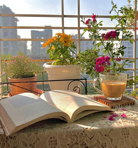 Rose25643394651's tweet photo. Basking in the morning glow, where every ray feels like a warm embrace. βοΈπΌ #MorningSunshine #GardenBliss #ThirstyThursday #USMNT #WisconsinCapitol #ThursdayThoughts https://t.co/mEY7woYXKk