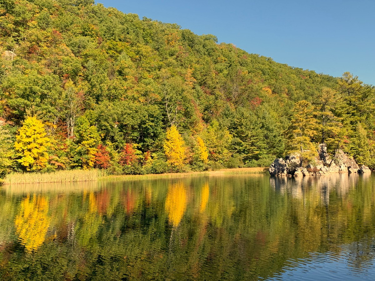 Leafpeepers this is your moment! You can get a headstart at enjoying fall colors by visiting higher elevations on the #GWJNF. While peak color is still a couple of weeks away, you can find pockets of glorious color!