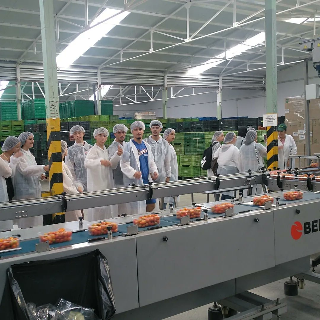 La visita a la Cooperativa El Grupo ha sido un éxito. Han venido 46 alumnos y alumnas de bachillerato, han aprendido cómo funciona una cooperativa hortofrutícola, los beneficios sociales que tienen este tipo de empresas y la empleabilidad.