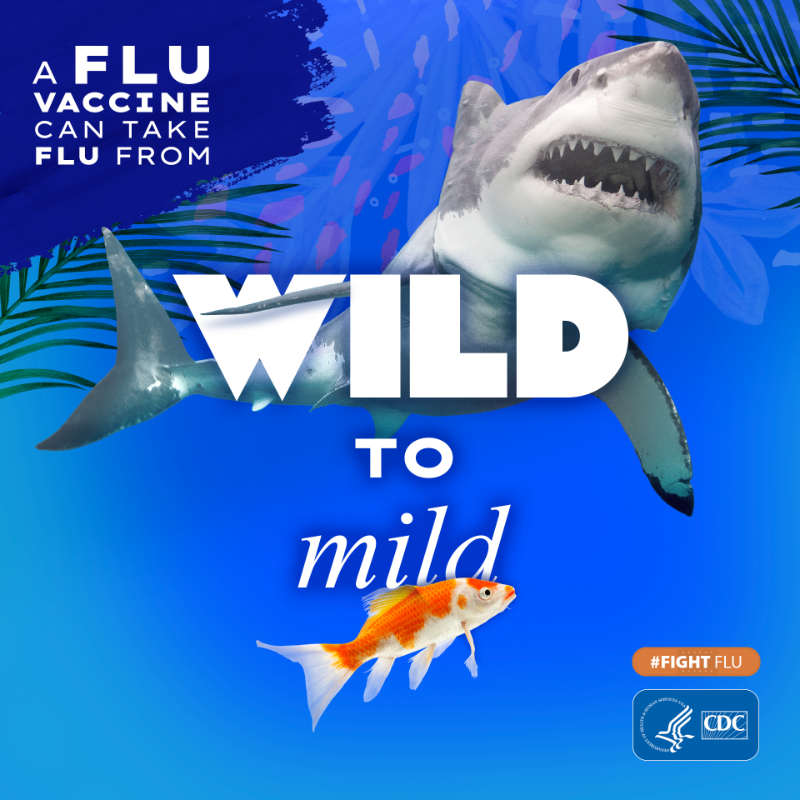 CDCFlu's tweet photo. Flu can be wild. Getting a flu vaccine each year is the best way to protect yourself and others from #flu and make for milder symptoms if you get sick. #FightFlu