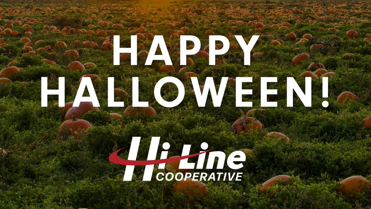 HiLine_Coop's tweet photo. Happy Halloween from everyone at Hi-Line Cooperative! Have fun, get spooked and be safe!
#hiline #cooperative #farm #farmers #employees #nebraskafarms #nebraska #agronomy #agronomist #agronomyservice #farmingservices #harvest2023 #harvest https://t.co/Xcbh8dy2GV