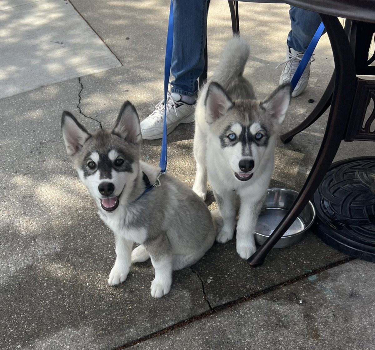 Look at these two precious little angels I saw when I was going to lunch today. ❤️