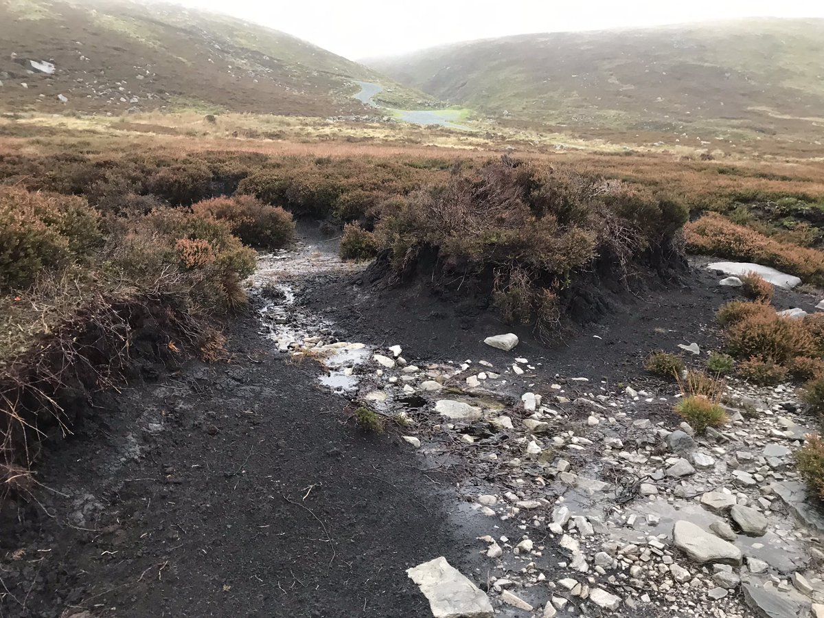 Today I have been exploring a grouse moor and pondering why we’ve let c.150 landowners wreck England’s most important carbon store for the past century and a half

Pic shows eroding peat hags, leaching carbon to the air &amp; into streams