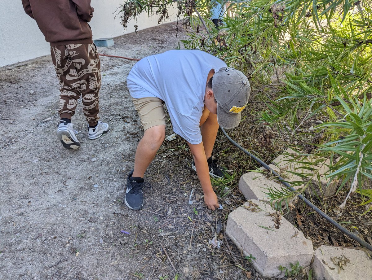 mssitesvida's tweet photo. 6th grade humanities students gaining empathy about early humans. Simulating a hunter and gatherers challenge to answer the question: Why did early humans design? @bwilliamsvida @VIDASHARKS #WeAreVIDA https://t.co/6gYNzw3Vlp
