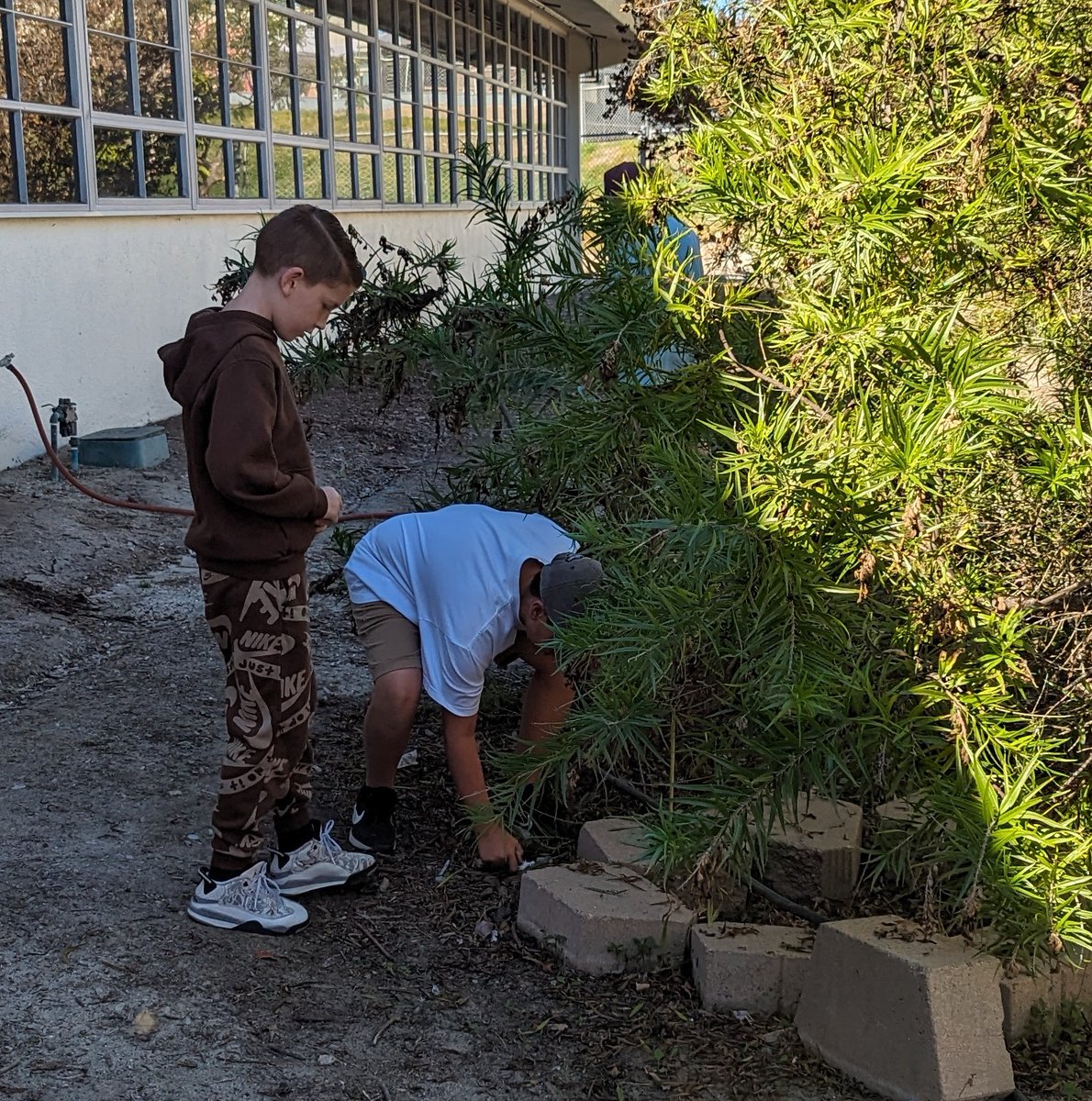 mssitesvida's tweet photo. 6th grade humanities students gaining empathy about early humans. Simulating a hunter and gatherers challenge to answer the question: Why did early humans design? @bwilliamsvida @VIDASHARKS #WeAreVIDA https://t.co/6gYNzw3Vlp