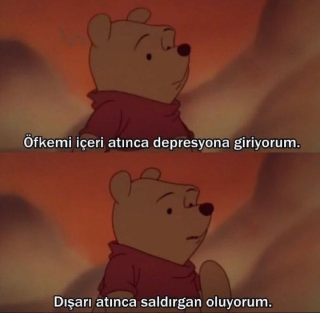 ''Öfkemi içeri atınca depresyona giriyorum. Dışarı atınca saldırgan oluyorum..'' 

(Winnie The Pooh)