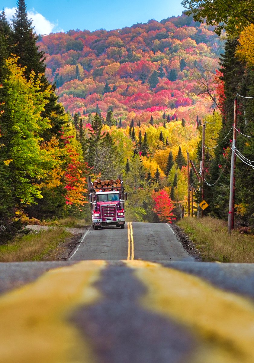 JeremyTGrant1's tweet photo. Fall is here in Maine and I Love it!!! https://t.co/HEBbW1dTDe