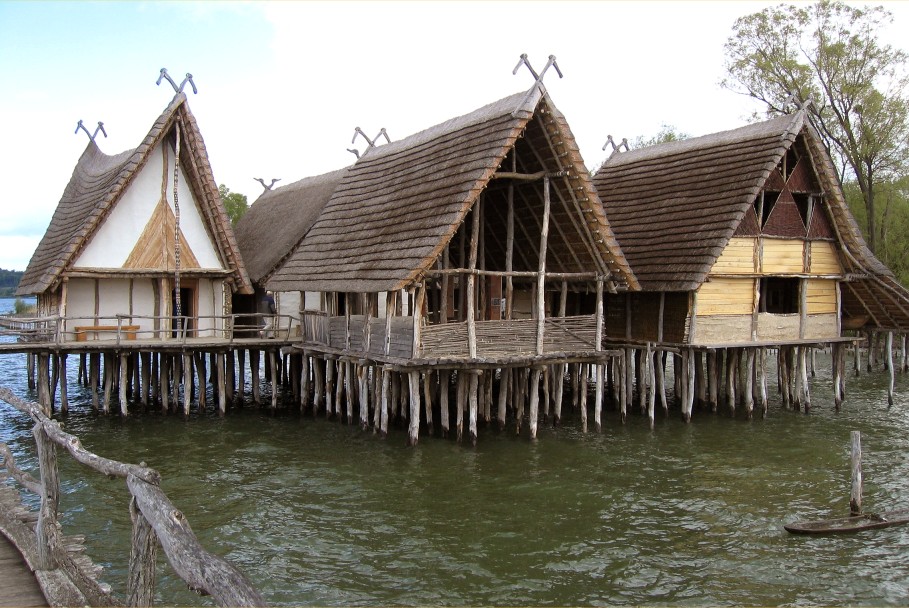 In 1856 archaeologists discovered an about 5000 years old Neolithic pile dwelling settlement, called Wangen-Hinterhorn, on shores of Lake Constance, in present day Germany. Houses in the settlement we're built on columns of wood in the lake and were home to farmers and fishermen.…