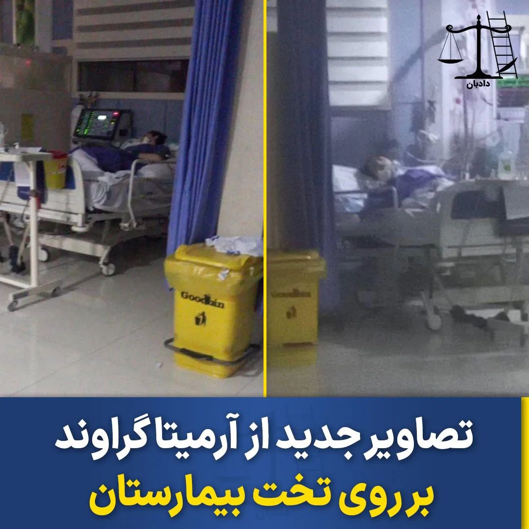 این تصاویر محو از آرمیتا گراوند، توسط نیما سلیمی، روزنامه‌نگار ایرانی شاغل در خبرگزاری ملی نروژ منتشر شده است. (تاریخ تصاویر مشخص نیست)
منبعی که این تصاویر را به آقای سلیمی رسانده گفته است که مقامات می‌خواهند آرمیتا را ازطریق دستگاه‌هایی که به او متصل است، زنده نگه دارند تا از