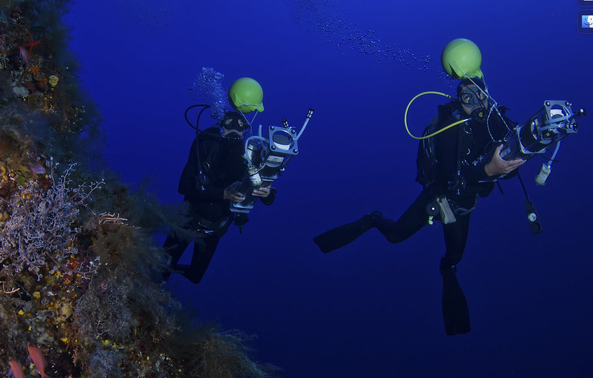 ReeFish (@reefishnews) on Twitter photo BiodivMed 2023 is over ... at least for the field part with 700 eDNA samples along the French Mediterranean coast
Massive effort carried out by <a href="/umrMARBEC/">Marbec</a> @cefemontpellier <a href="/SPYGEN_Lab/">SPYGEN</a> <a href="/OceanoScientif/">OceanoScientific</a> <a href="/AndromedeOcean/">Andromede Ocean</a> <a href="/greglecoeur/">Greg Lecoeur</a>
Funded by <a href="/SauvonsLeau/">Agence de l'eau Rhône Méditerranée Corse 💧</a>
umontpellier.fr/en/articles/mi… BiodivMed 2023 is over ... at least for the field part with 700 eDNA samples along the French Mediterranean coast
Massive effort carried out by <a href="/umrMARBEC/">Marbec</a> @cefemontpellier <a href="/SPYGEN_Lab/">SPYGEN</a> <a href="/OceanoScientif/">OceanoScientific</a> <a href="/AndromedeOcean/">Andromede Ocean</a> <a href="/greglecoeur/">Greg Lecoeur</a>
Funded by <a href="/SauvonsLeau/">Agence de l'eau Rhône Méditerranée Corse 💧</a>
umontpellier.fr/en/articles/mi…