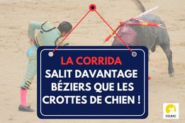 LiseTemple's tweet photo. Débarrasser @VilleDeBeziers des crottes de chien, c'est très bien, mais commencer par la débarrasser de la cruauté des taurins, ce serait mille fois mieux. 
@BeziersColbac @AllianceEthique @Bastet3413 @mareebasse @KorriganEsplieg @HenryJeanServat @courbet_julien @CarolineRooseEU https://t.co/P6XzAZXRyC