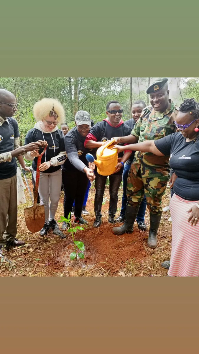 <a href="/inclusionchamp2/">Inclusion Champions Society -I.C.S</a> ensuring we hit the 15bn trees by 2032. Best part, different #Disability types were involved in partnership with  <a href="/springboardke/">Springboard Capital</a> <a href="/KeForestService/">Kenya Forest Service</a>   at the Aboretum today. #ClimateAction #SDGs
