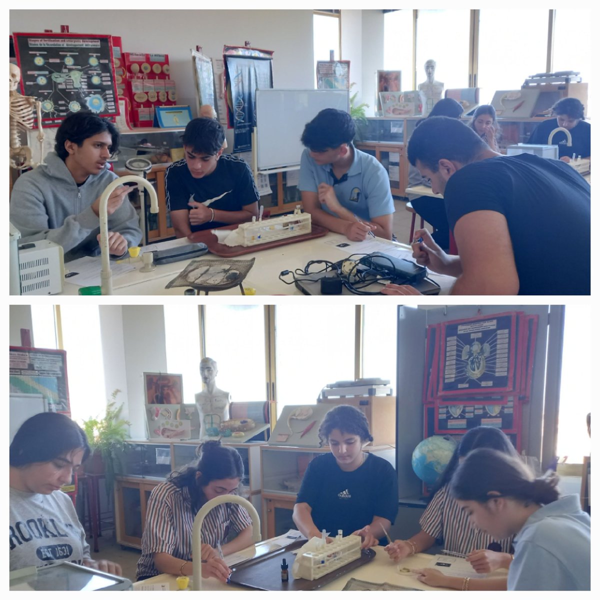Grade 10 students performed several experiments to identify the chemical composition of living materials <a href="/Hhhsinfo/">Houssam Hariri HS</a> <a href="/DidiSaleh10/">Diana Saleh</a>