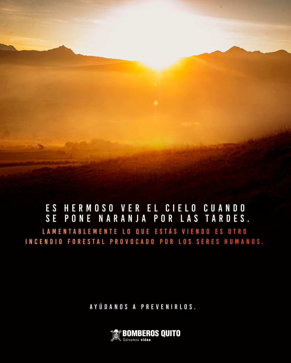 🧑‍🚒 #JuntosSalvamosVidas | El 99% de los incendios forestales son causados por el ser humano.

📞 Si observas un comportamiento inusual en los bosques, quebradas y páramos denúncialo al 9-1-1.

Juntos cuidemos de nuestra ciudad. ✊

#BomberosQuito
#SalvamosVidas