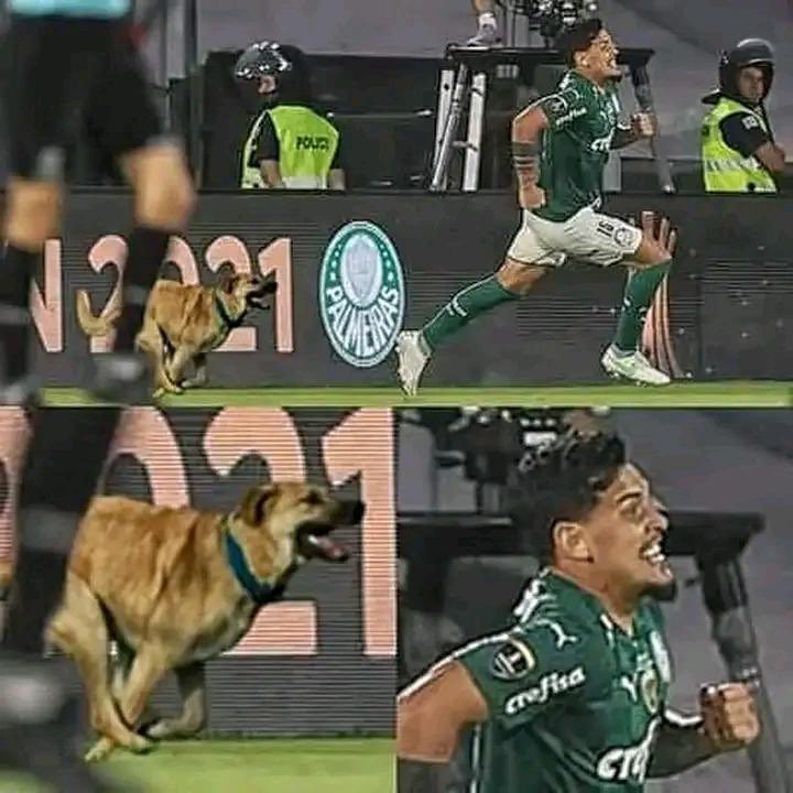 Out Of Context Football (@nocontextfooty) on Twitter photo 