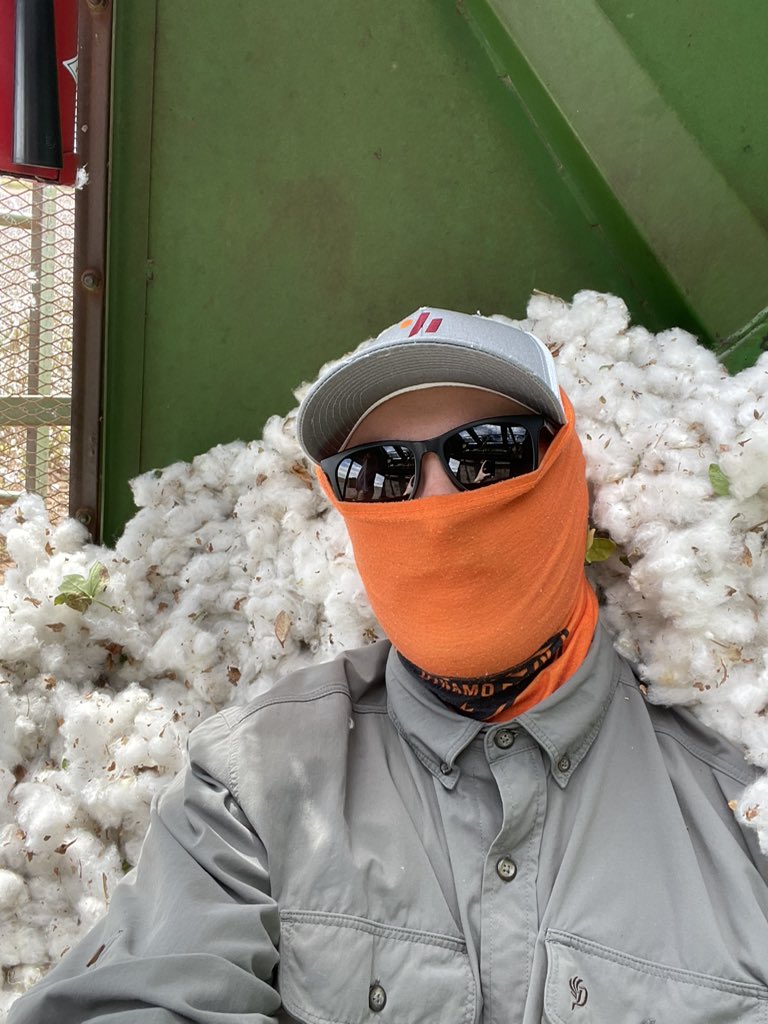 Earlier this week, I helped get some of the last of the cotton crop harvested at the TAMU research farm. The weather threw us a bone by sending some clouds our way! #cotton #agriculture