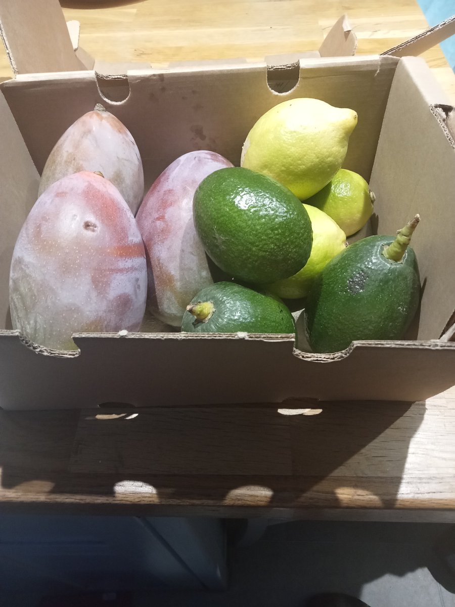 Look at these lovely goodies, direct from the farm in Spain .#crowdfarming #Tropiterranean