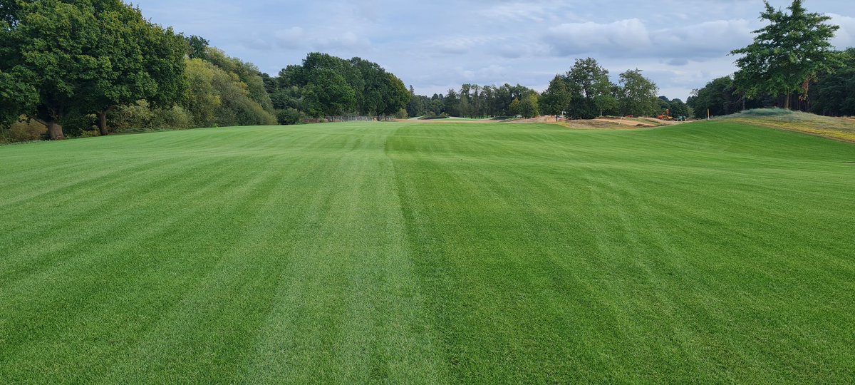 The Dimpled Egg tweet media