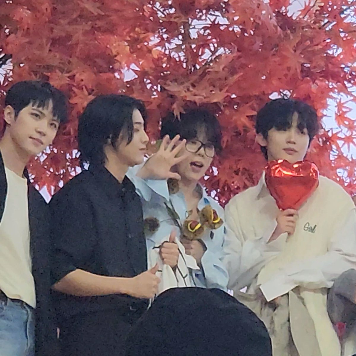 보니 tweet media