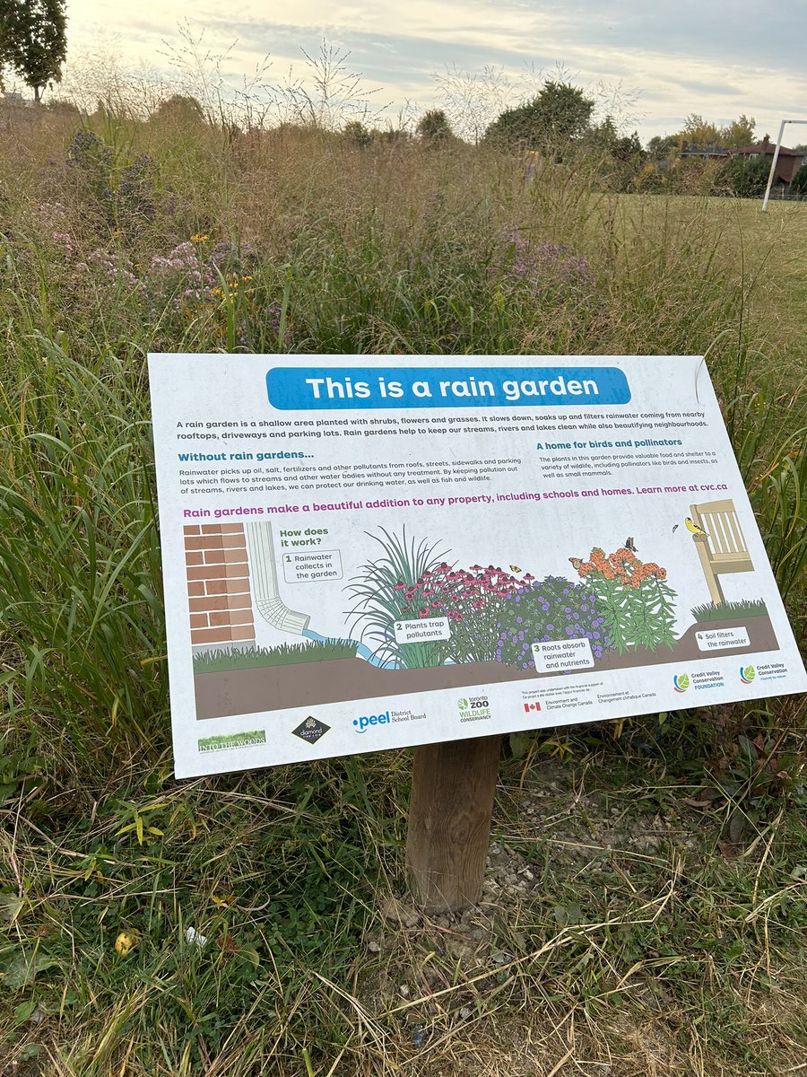 Our Lady of Fatima DPCDSB tweet media