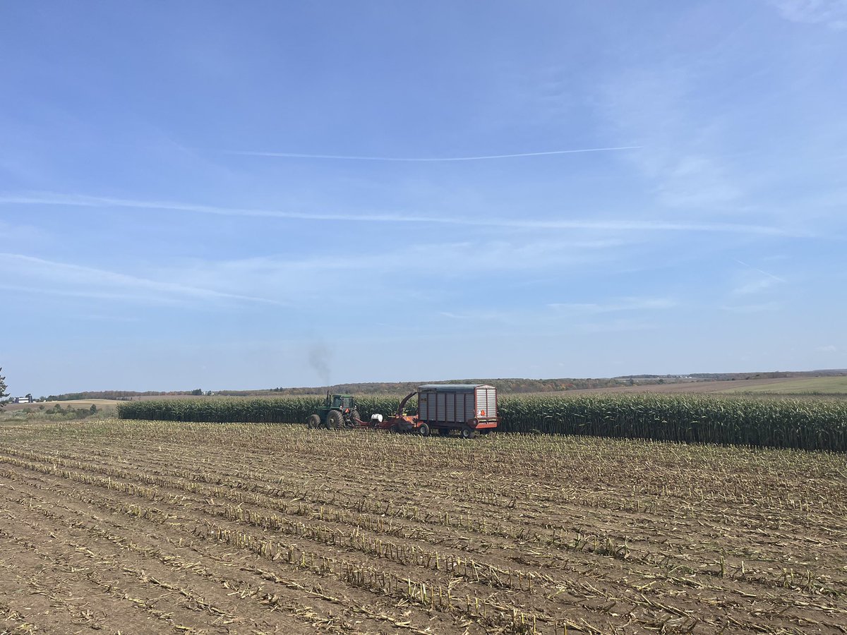Wrapping up Silage plots and waiting on Feed results. 
Gearing up for next year with Wheat plots!  Bean plots won’t be far behind!