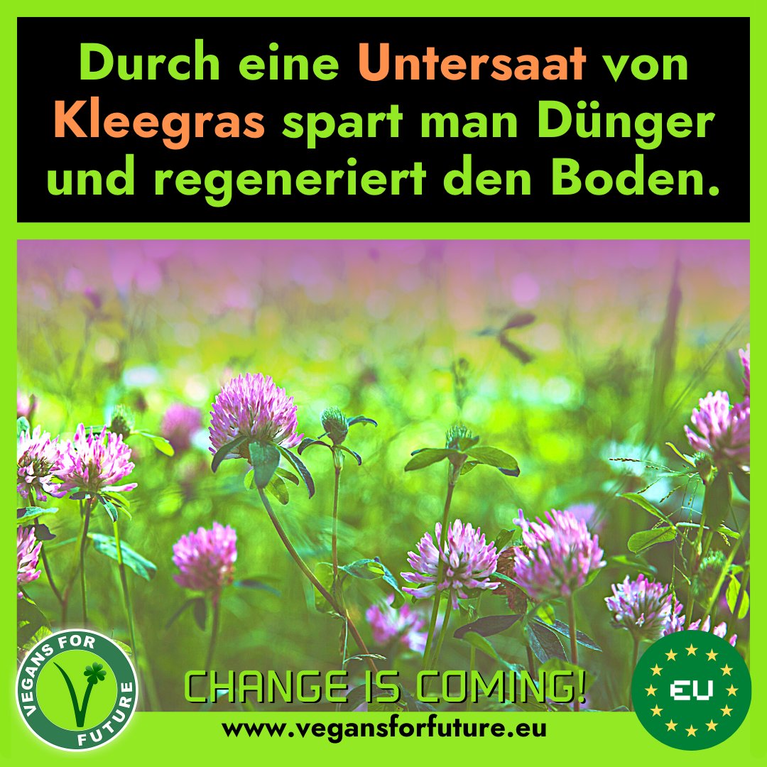 VFF_eu's tweet photo. Im Rahmen der Agrar- und #Ernährungswende benötigen wir neue Konzepte, um die Böden fruchtbar zu halten, denn Gülle und Jauche wird es dann bekanntlich nicht mehr geben. Wir müssen also umdenken! 🙂🌱

➡️https://t.co/ZtPjtL4GCv
#vegansforfuture #landwirtschaft #fridaysforfuture https://t.co/2dwIMd3t3H