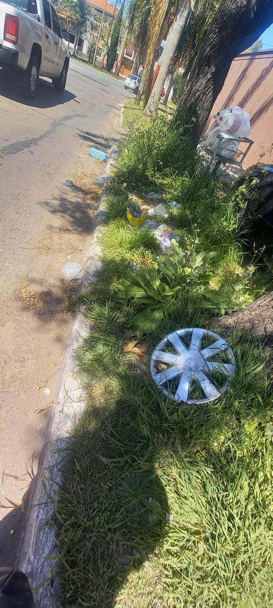 GLADYS_MASBsAs's tweet photo. @diegokravetz Le escribo porque no puedo creer que en una de las calles principales de acceso al Palacio Municipal haya tanta mugre acumulada hace más de 15 dias. Cnel Segui al 500 y Carlos Casares. Se necesita LIMPIEZA URGENTE por favor. Se va a llenar de ratas !!!GRACIAS https://t.co/jh700Rc8ry