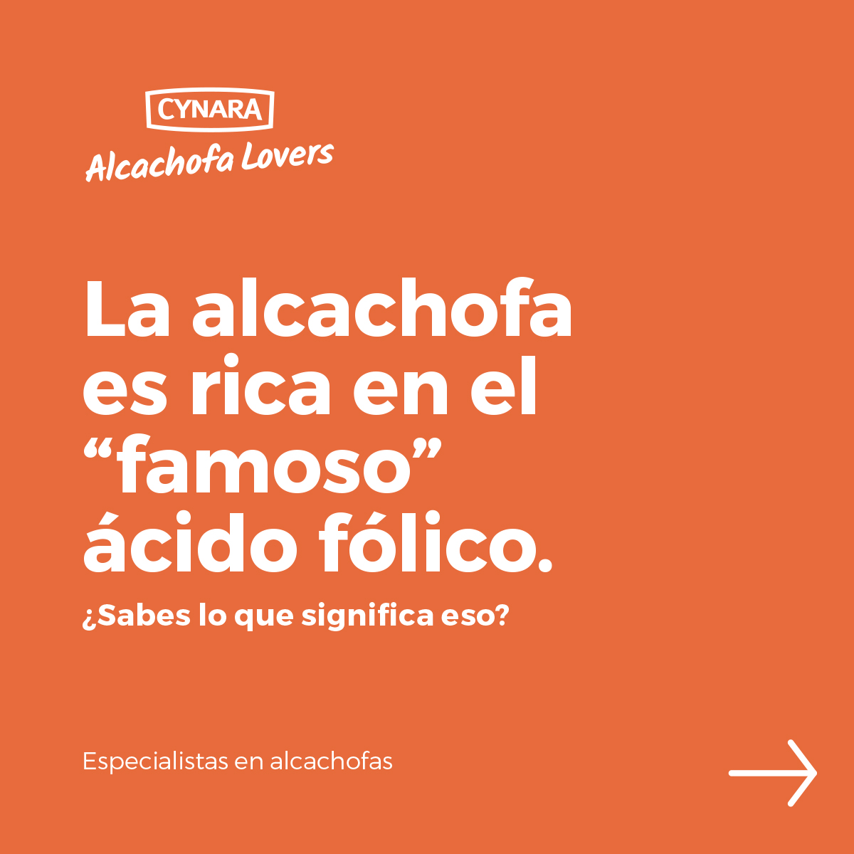 CynaraES's tweet photo. La alcachofa es rica en el “famoso” ácido fólico ¿Sabes lo que significa eso?

💦 Hidrata la piel
🧓 Previene signos de envejecimiento
❤ Previene la hipertensión
🦠 Contrarresta la aparición de cánceres
🤰 Beneficioso para el embarazo https://t.co/lorxCtvMkK