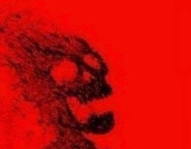 Hold On… my treasure sensing abilities are getting a whiff! what’s this in Tail’s plane- hey, looks like some sorta container. The treasure must be inside! I’m gonna pop this sucker open aAAAAUUUAUUUUUUUAUAUUUUU