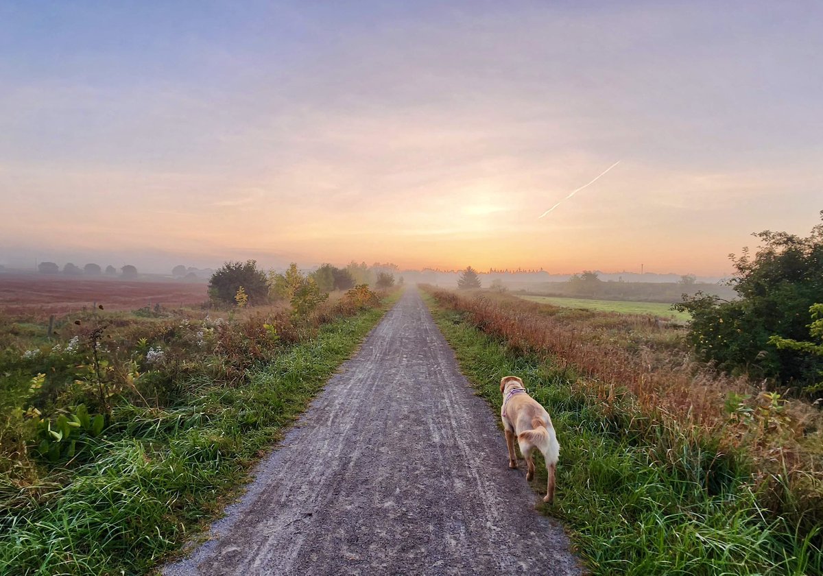 Sunrise + G2G Rail Trail + October = MAGIC ✨