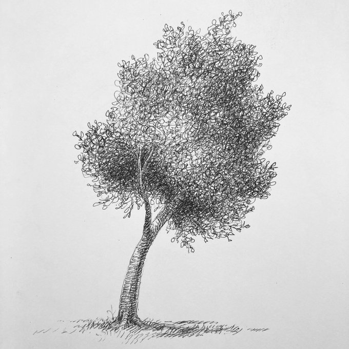 「tree」 illustration images(Latest))