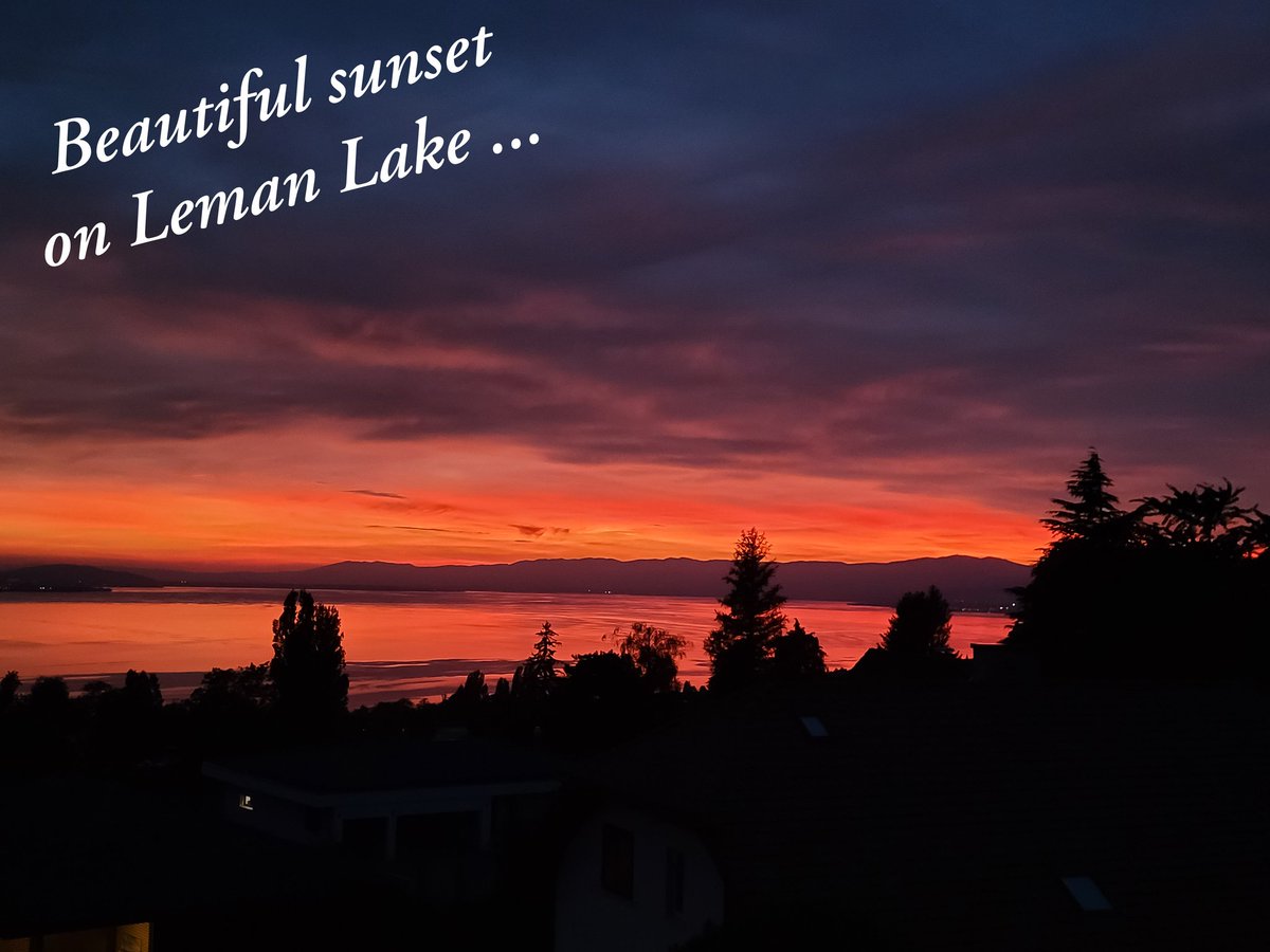 Lucia Mazzolai (@luciamazzolai) on Twitter photo 