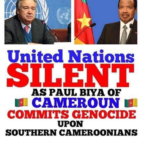 The #UN is still ignoring #GenocideInSouthernCameroons !
This genocide has been going on since 2016 | #SoutherCameroons aka #Ambazonia (not Amazonia)