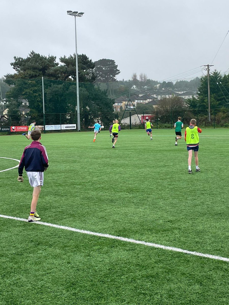 Wexford CBS GAA tweet media