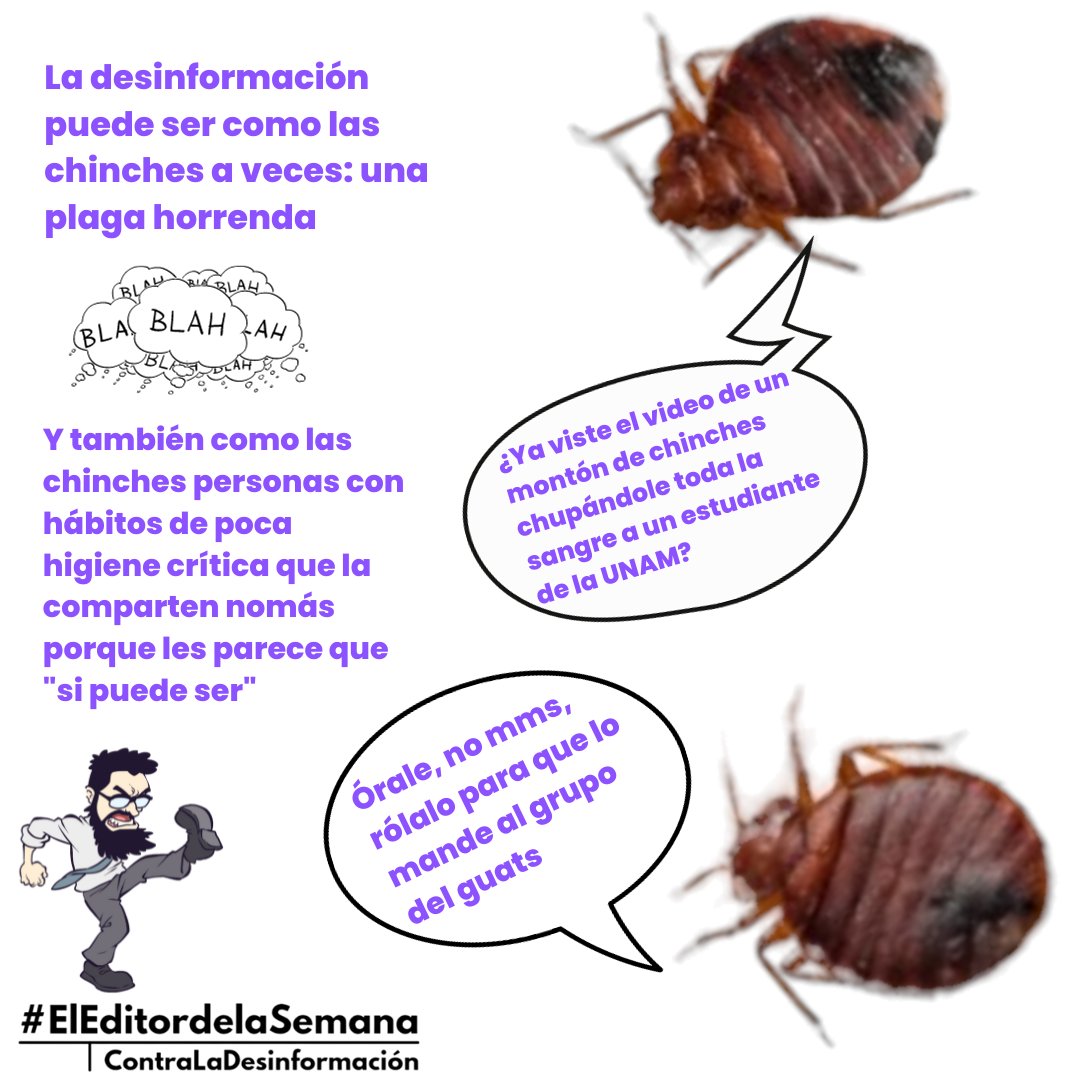 La #desinformación es una o
plaga peor que la de #chinches. Evita la comezón de compartir lo que no está verificado.
#chinchesUNAM #verifica #fakes #eleditordelasemana