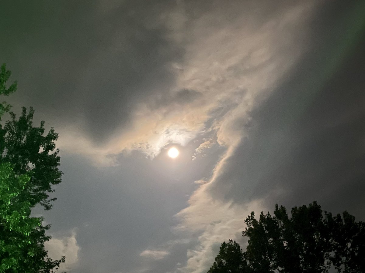 7 Days Of Smiles tweet media