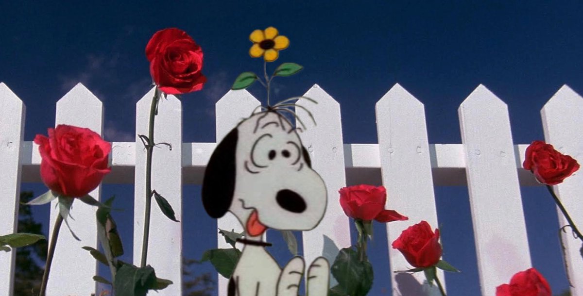 laurinha 🦠🫟 tweet media