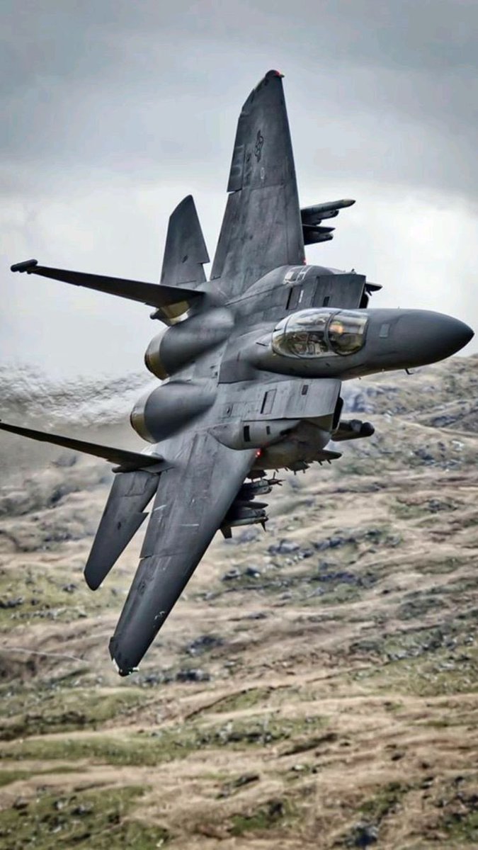 Sal Saverio tweet media