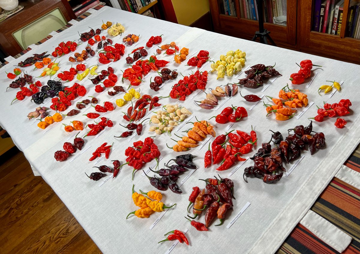 7 Pot Club tweet media