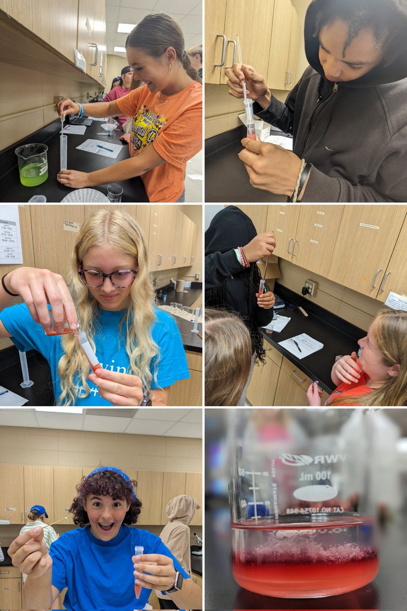 #PLTW #PBS Ss conduct DNA extraction on strawberries <a href="/BeltonAcademies/">The Academies of Belton</a>