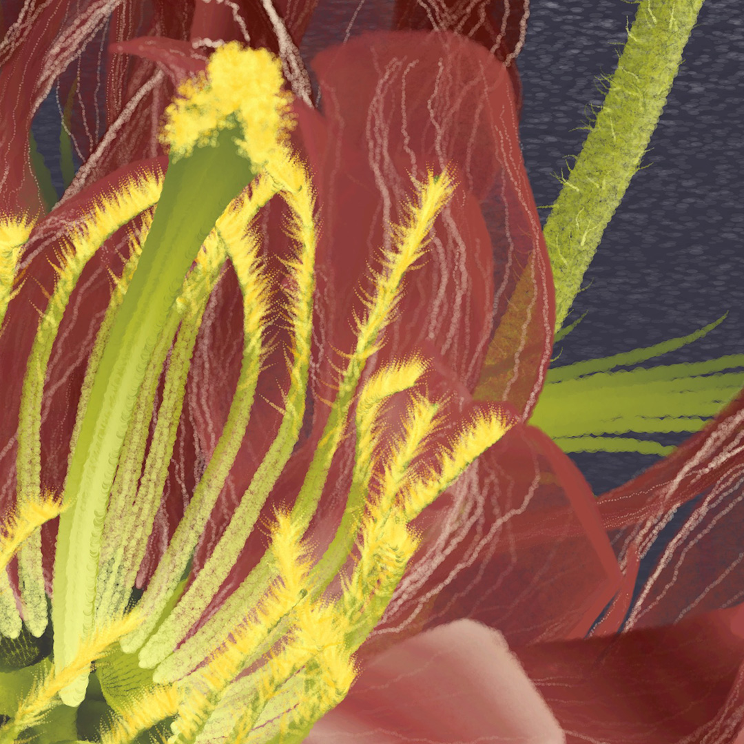 solaas's tweet photo. A few details from hi-res captures of "Delirium Blooms", a #generative work that is part of @brtmoments #bacollection.
Show & live minting coming November 3! See you in Buenos Aires!! 🇦🇷🌹😃
#creativecoding #genart #p5js #nft https://t.co/pWtLzaVoWA