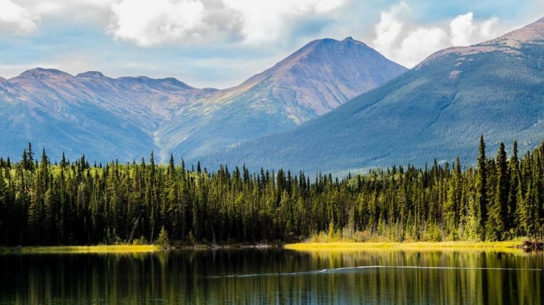 Any psychiatrists interested in serving patients in rural/remote locations (w/ research and infrastructure support, and med students/residents via UBC), there is a tenure-track opportunity in Prince George, BC, Canada...…ychiatry-sandbox2019.sites.olt.ubc.ca/files/2022/11/… It's pretty amazing country!