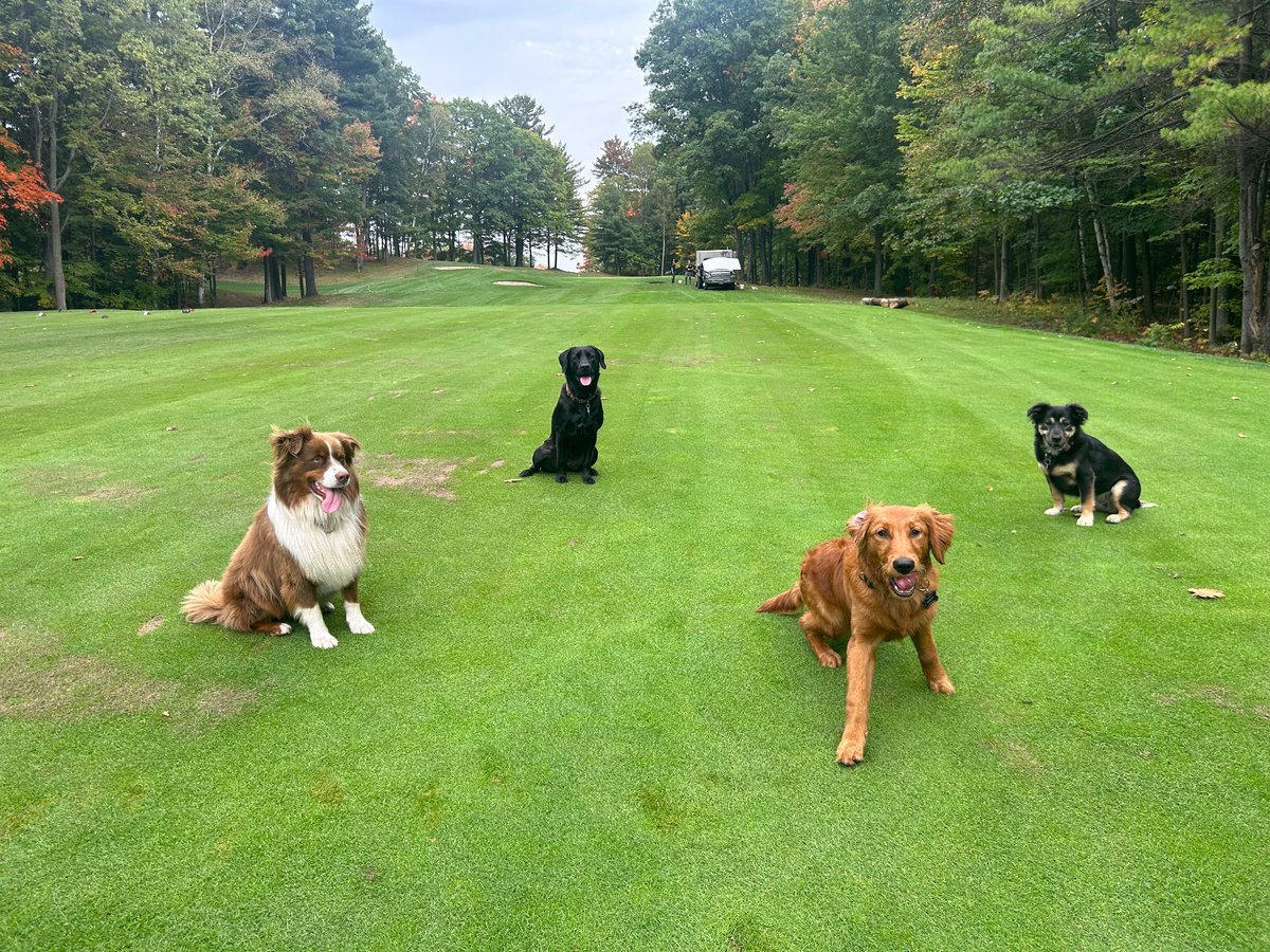 Leasha MacGregor tweet media