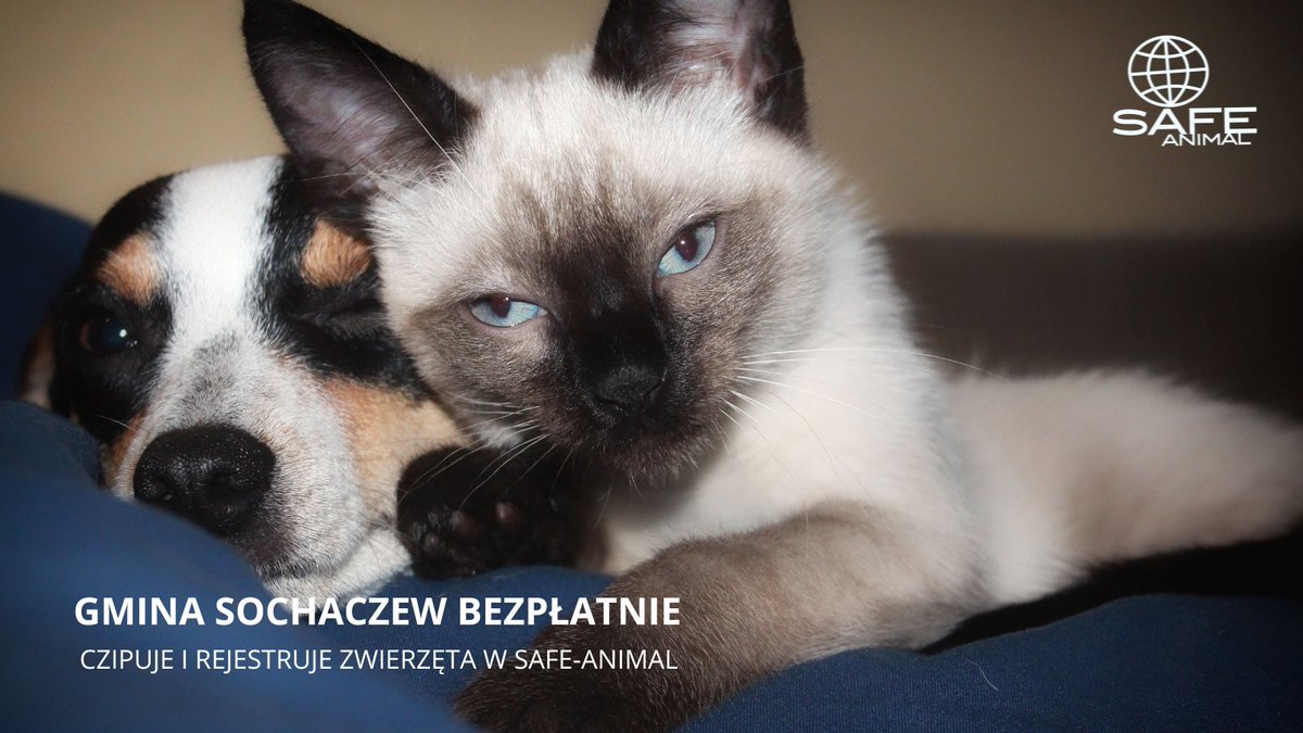 Kolejną gminą, która przystąpiła do programu wsparcia walki z bezdomnością wśród zwierząt jest  #Sochaczew Dzięki temu mieszkańcy gminy mogą skorzystać z bezpłatnego czipowania i rejestrowania zwierząt w #SAFEANIMAL Szczegóły: sochaczew.org.pl/artykul/10/189… <a href="/TABochenski/">Tobiasz Bocheński</a> <a href="/StruzikAdam/">Adam Struzik</a>