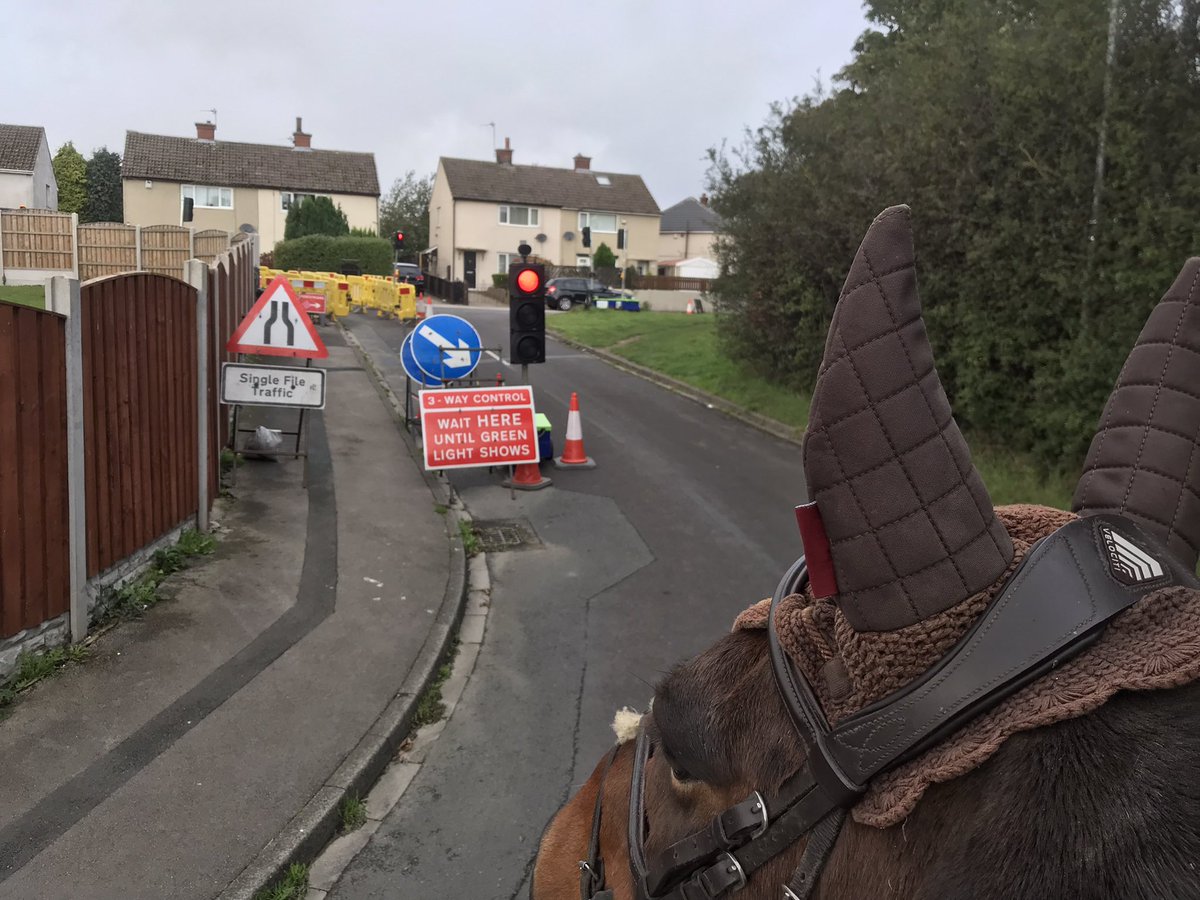 Jimbob doesn’t care for red traffic lights