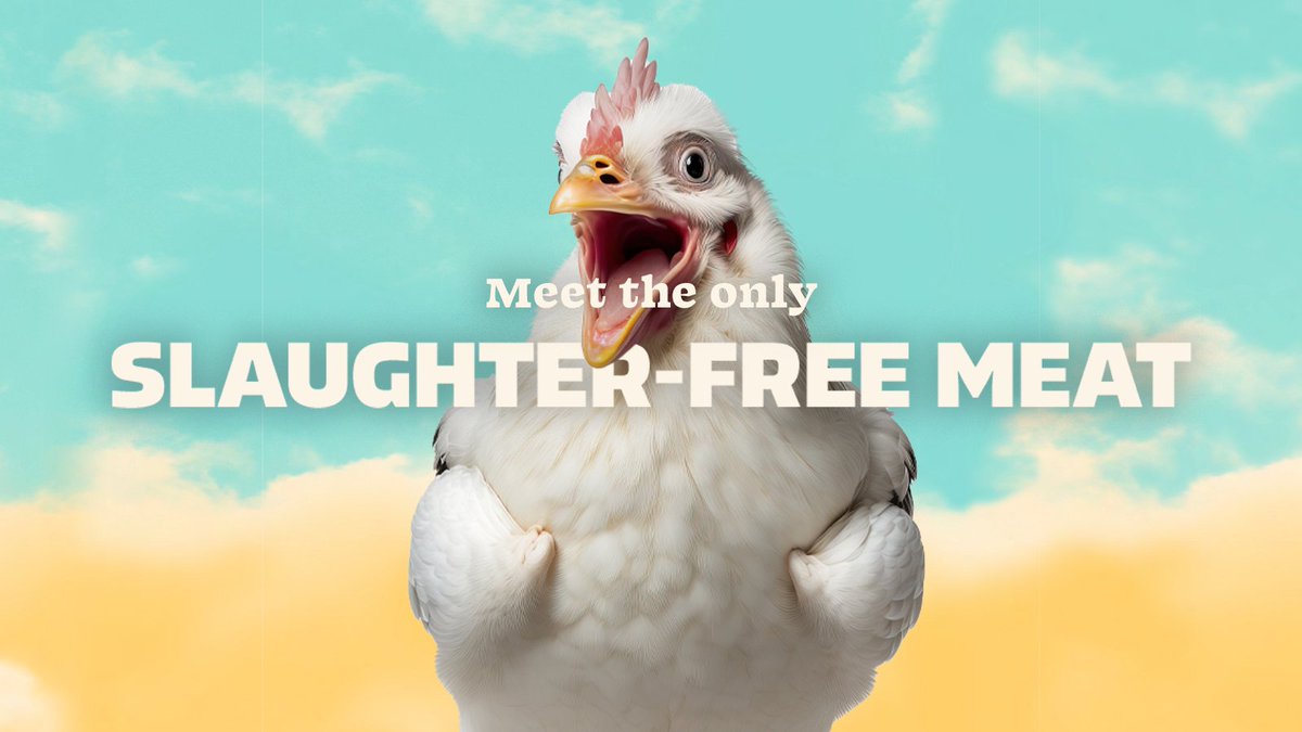 believermeats tweet media